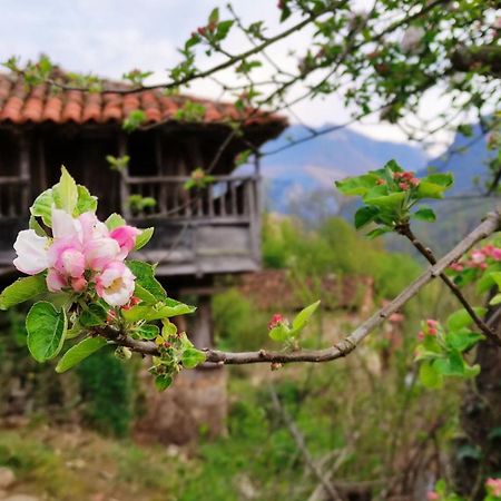Casa La Parra Villa Villar de Vildas Dış mekan fotoğraf