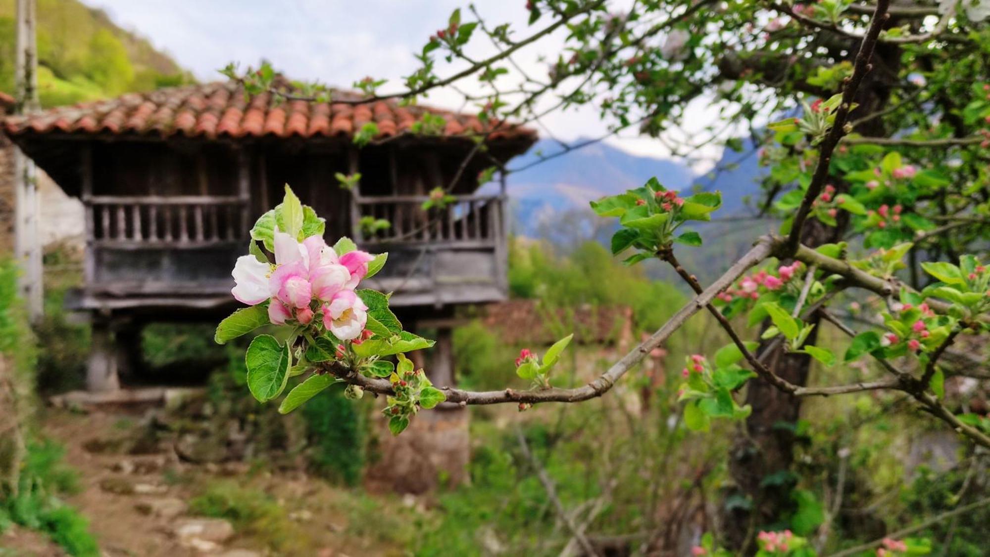 Casa La Parra Villa Villar de Vildas Dış mekan fotoğraf